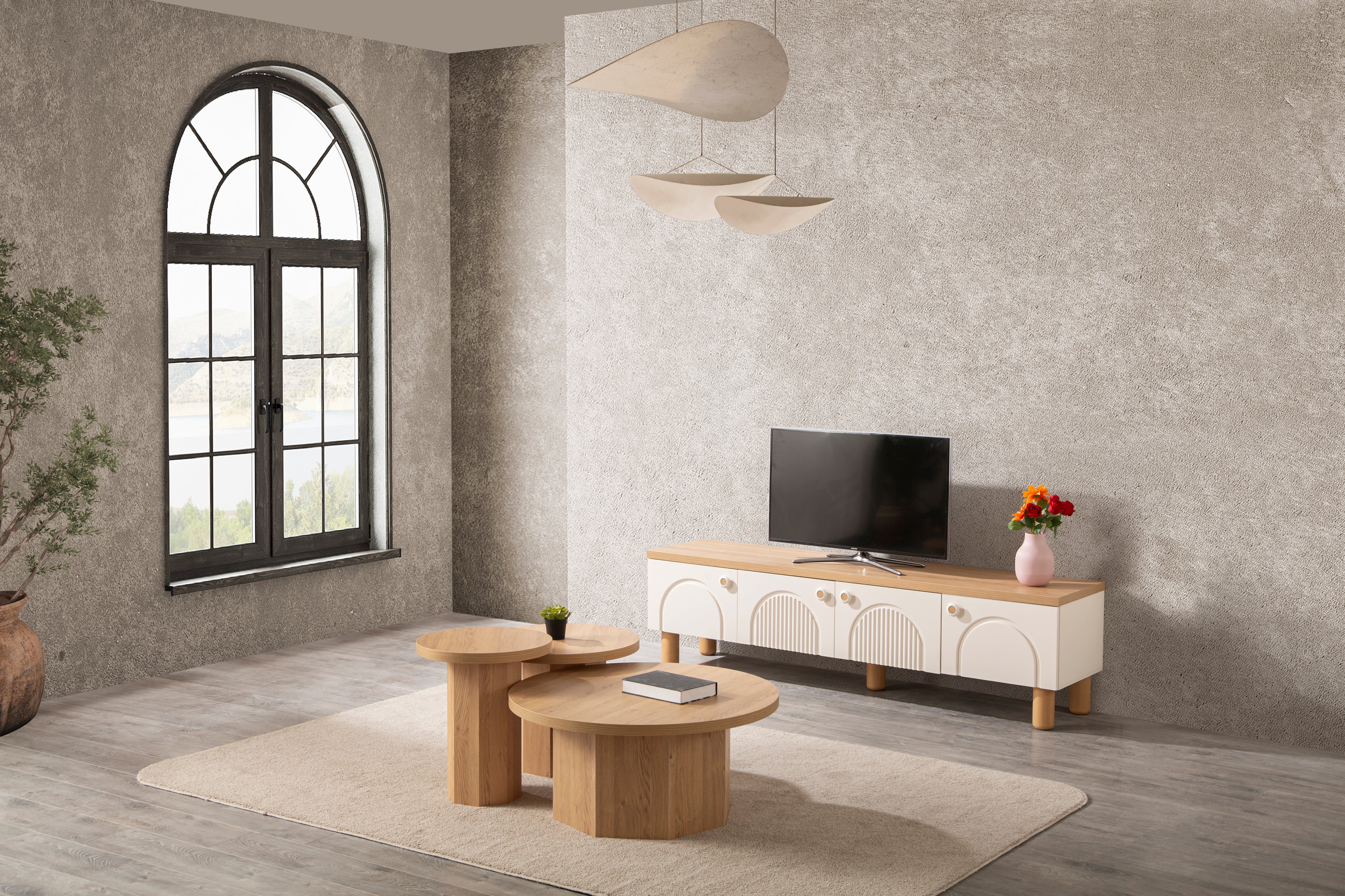 Salvador TV Ünitesi